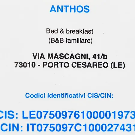 Bed Anthos *